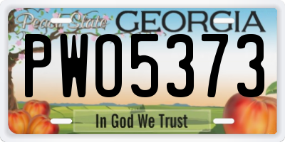 GA license plate PWO5373