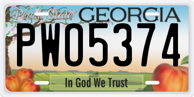GA license plate PWO5374