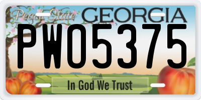 GA license plate PWO5375