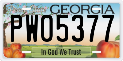 GA license plate PWO5377