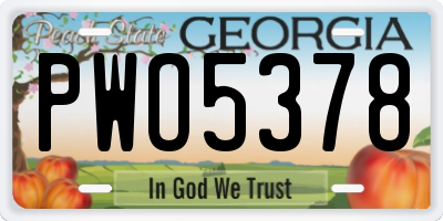GA license plate PWO5378