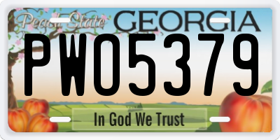 GA license plate PWO5379