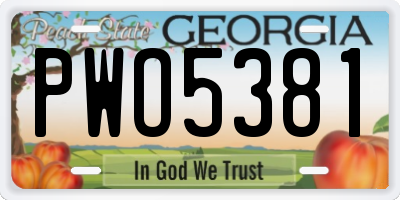 GA license plate PWO5381