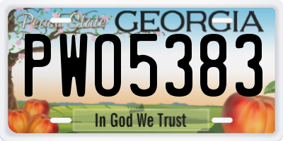 GA license plate PWO5383