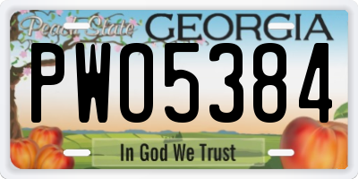 GA license plate PWO5384