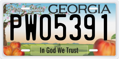 GA license plate PWO5391