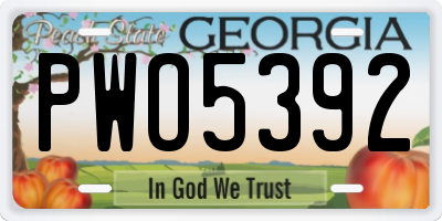 GA license plate PWO5392