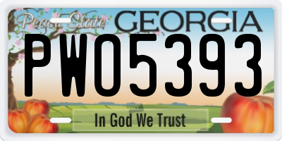 GA license plate PWO5393