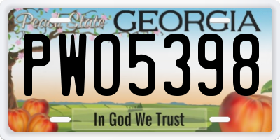 GA license plate PWO5398