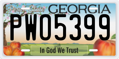 GA license plate PWO5399