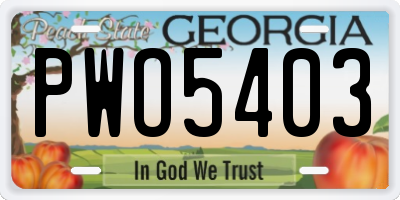 GA license plate PWO5403