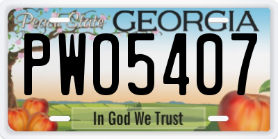 GA license plate PWO5407
