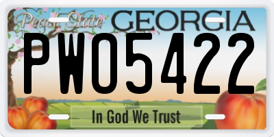 GA license plate PWO5422