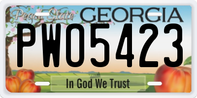 GA license plate PWO5423