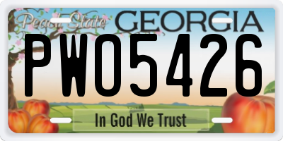 GA license plate PWO5426