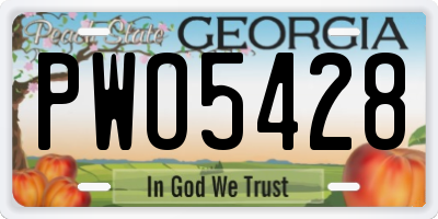 GA license plate PWO5428