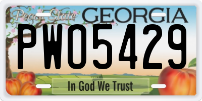 GA license plate PWO5429