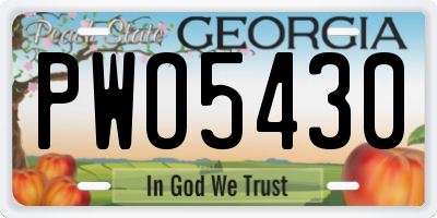 GA license plate PWO5430