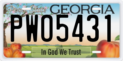 GA license plate PWO5431