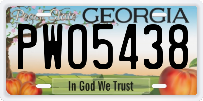 GA license plate PWO5438