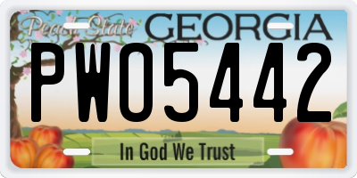 GA license plate PWO5442