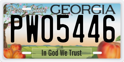 GA license plate PWO5446