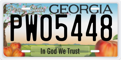 GA license plate PWO5448