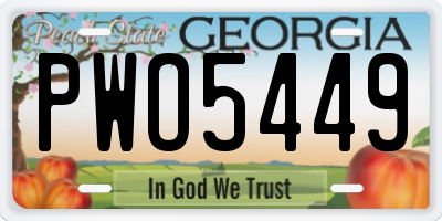 GA license plate PWO5449