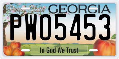 GA license plate PWO5453