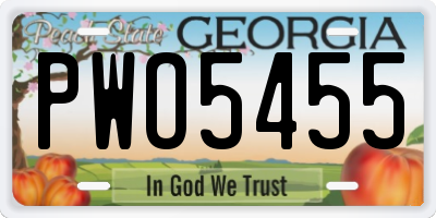 GA license plate PWO5455