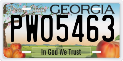 GA license plate PWO5463