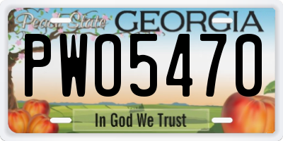 GA license plate PWO5470