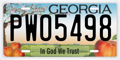 GA license plate PWO5498