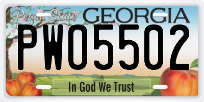 GA license plate PWO5502