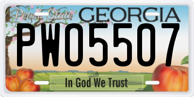 GA license plate PWO5507