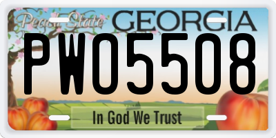 GA license plate PWO5508