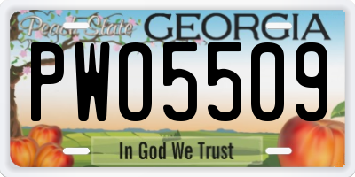 GA license plate PWO5509