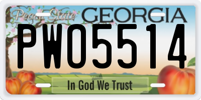 GA license plate PWO5514