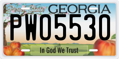 GA license plate PWO5530