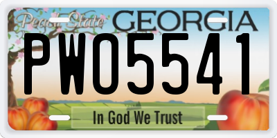 GA license plate PWO5541