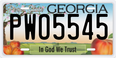 GA license plate PWO5545
