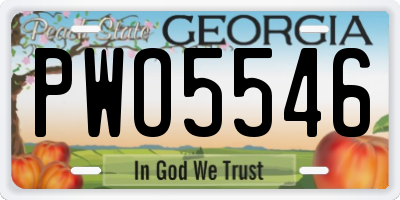 GA license plate PWO5546