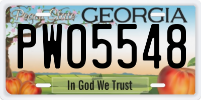 GA license plate PWO5548