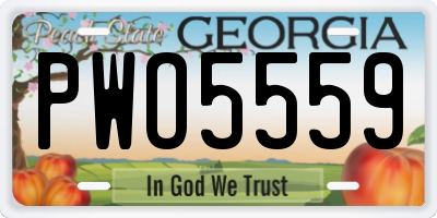 GA license plate PWO5559