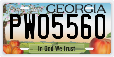 GA license plate PWO5560