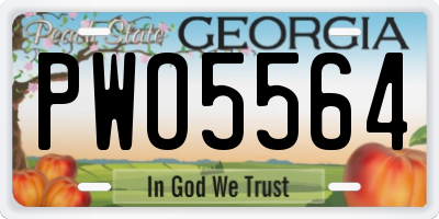 GA license plate PWO5564