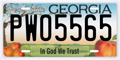 GA license plate PWO5565