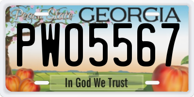 GA license plate PWO5567