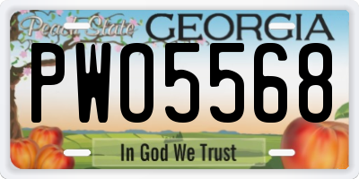 GA license plate PWO5568