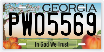 GA license plate PWO5569